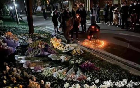 遛狗不牵绳违法怎么处理？武汉遛狗不牵绳老太太后续