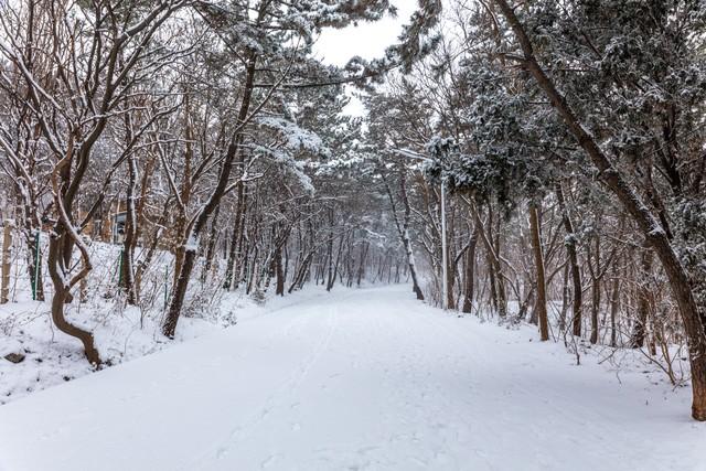 山西暴雪：多地积雪20厘米（山西暴雪最新预报消息）